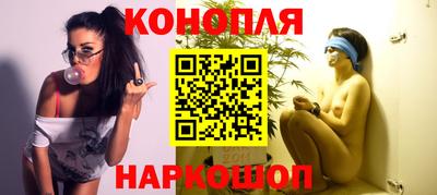 тгк Новодвинск